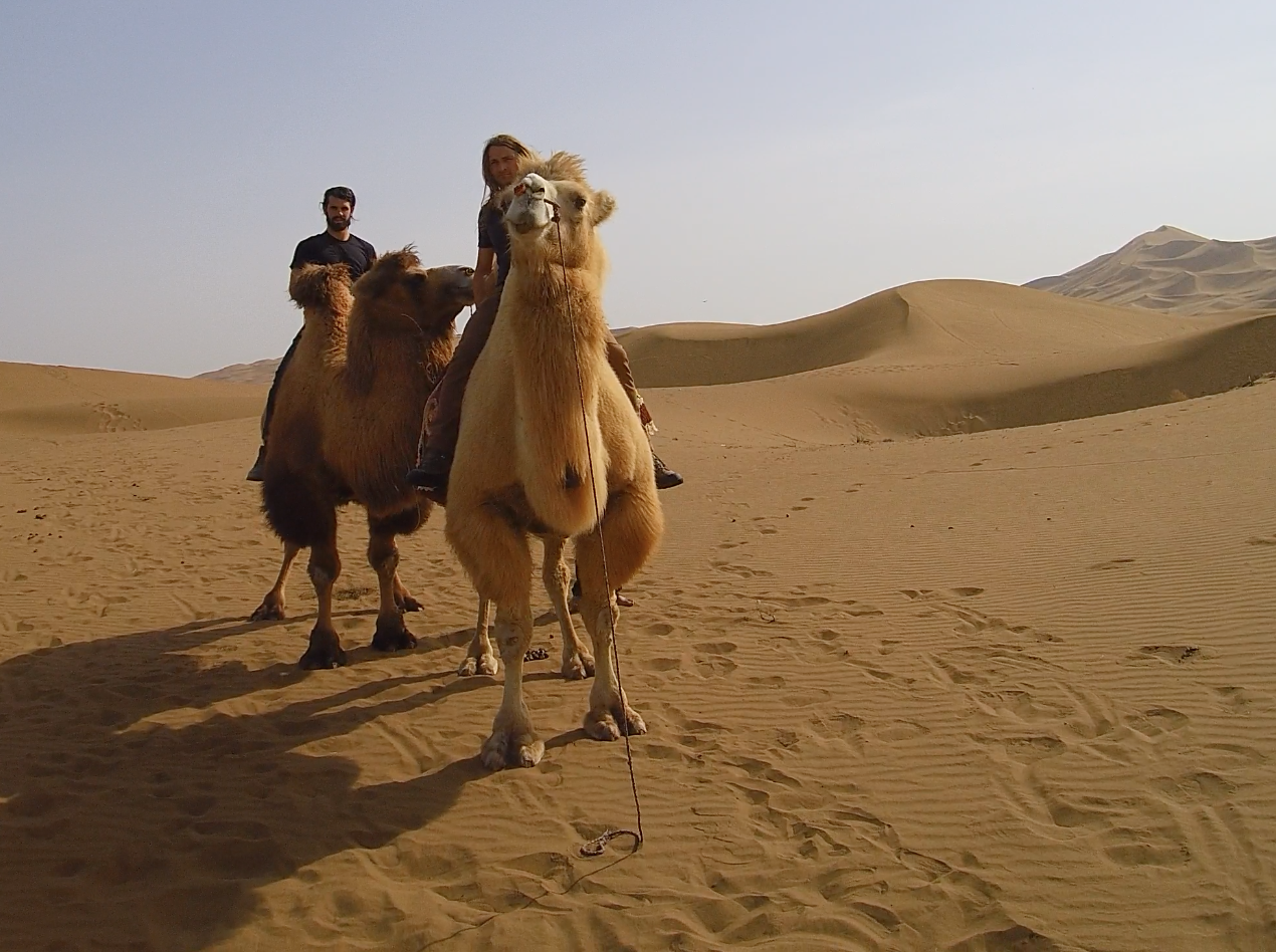 Screen Shot 2016-10-19 at 9.47.00 AM.png