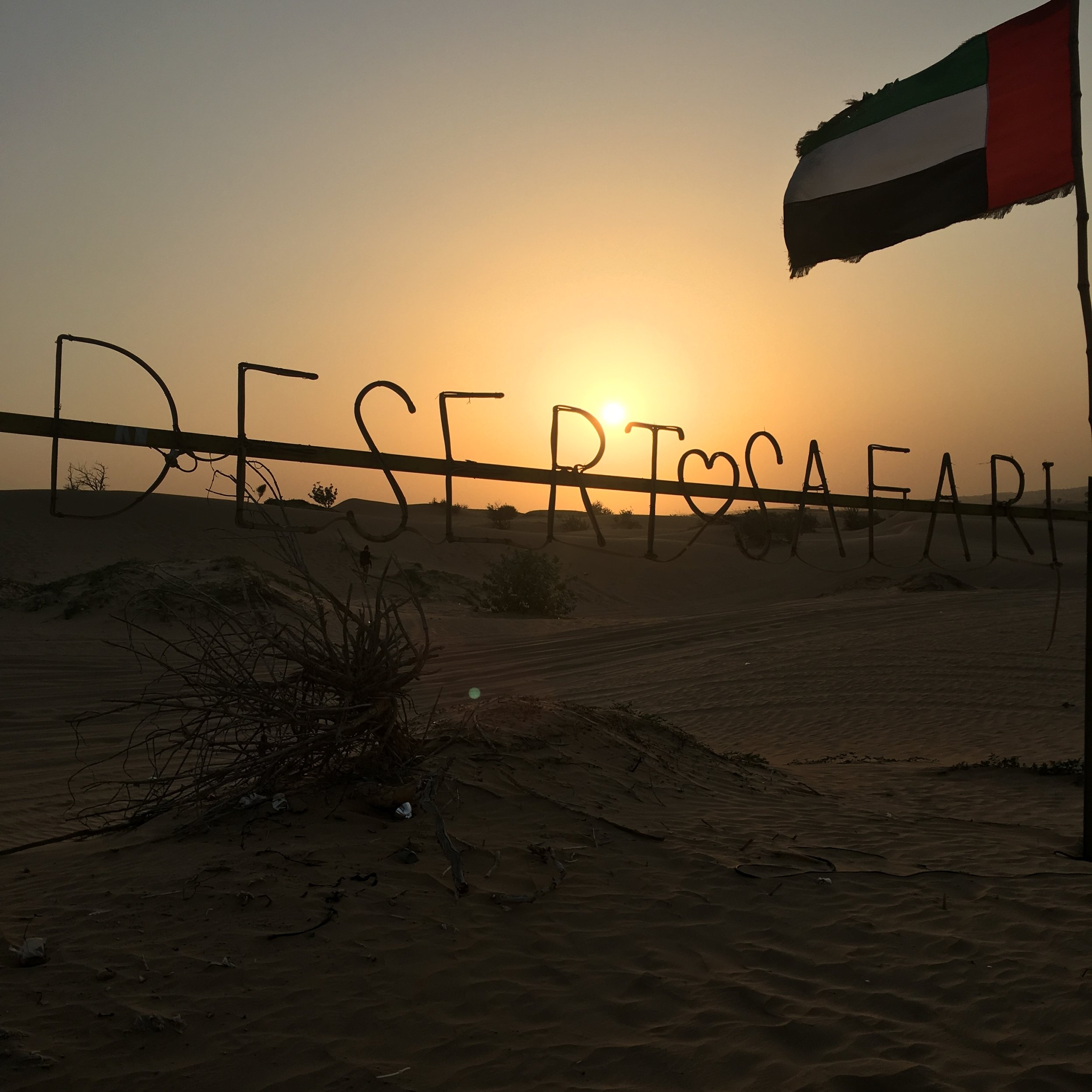 desert-safari.jpg