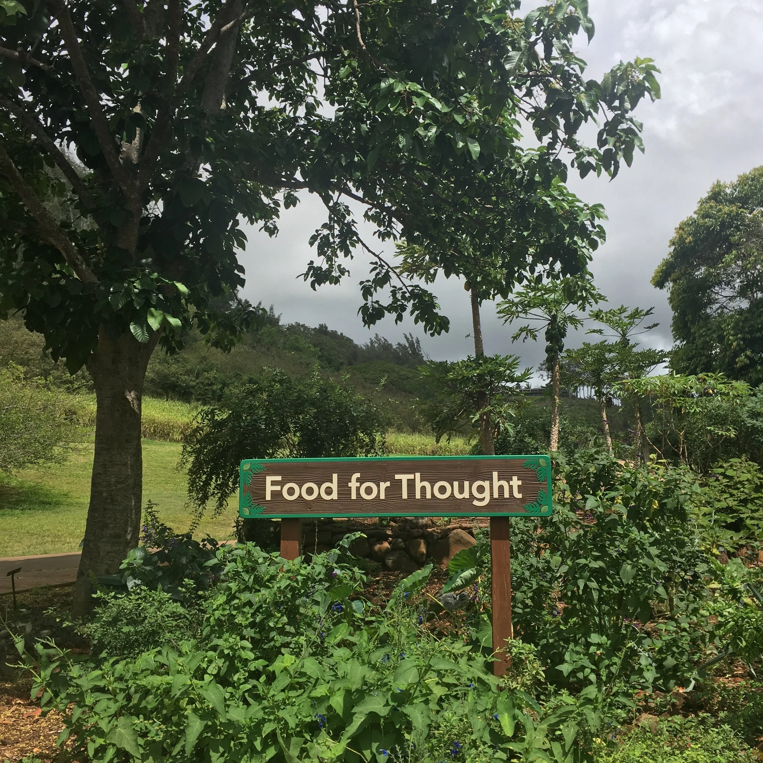 5 Highlights from the McBryde Garden in Kaua'i