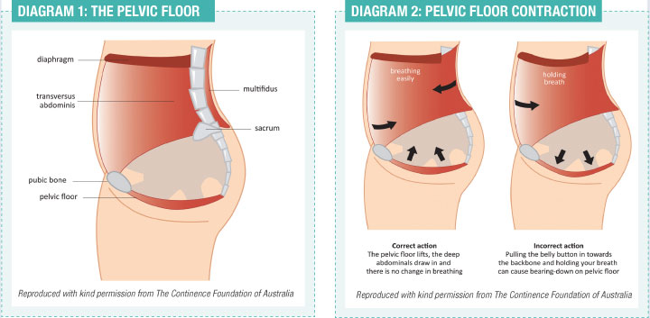 Image from http://www.fitnessnetwork.com.au/resources-library/aqua-pelvic-floor