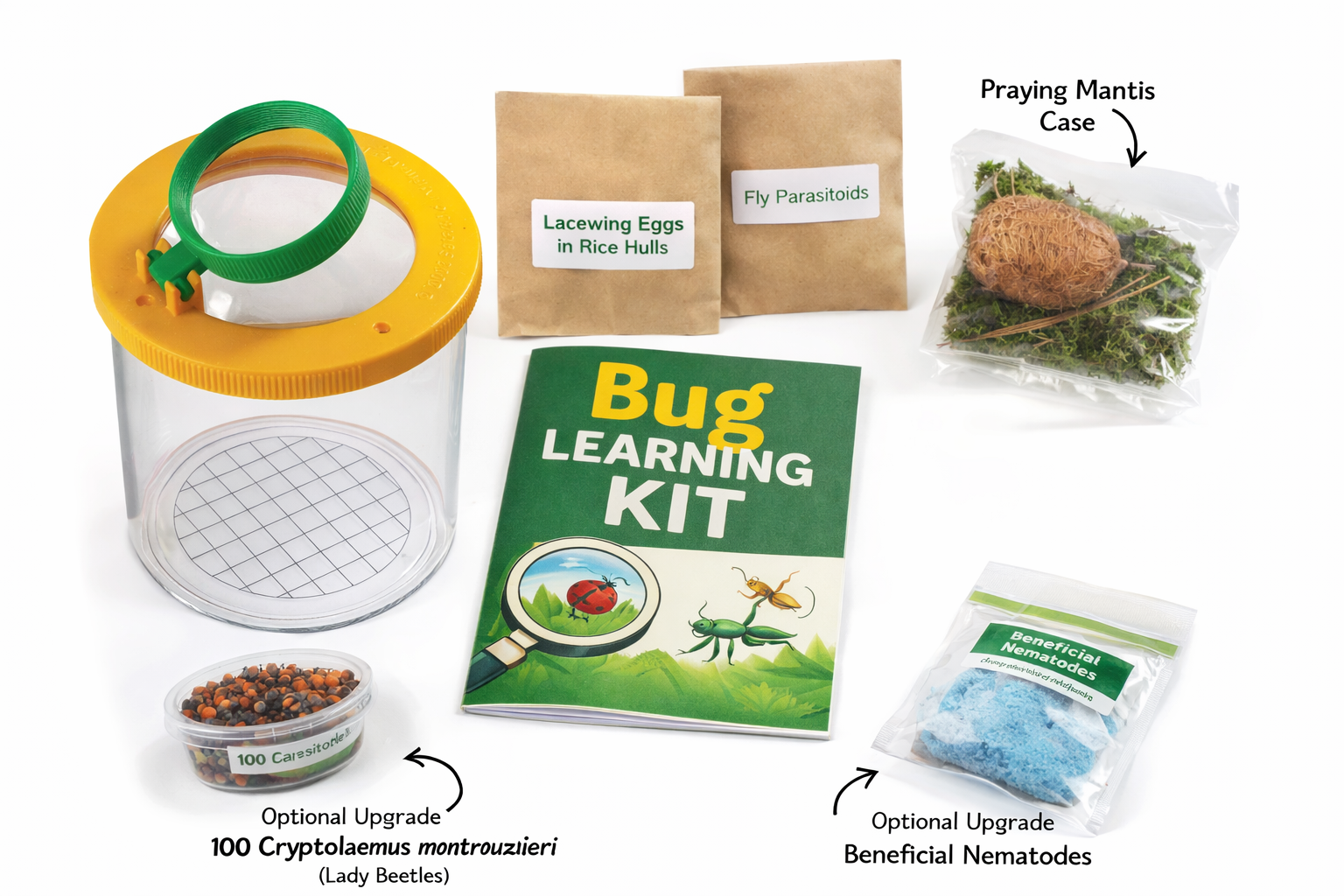 Bug Learning Kits