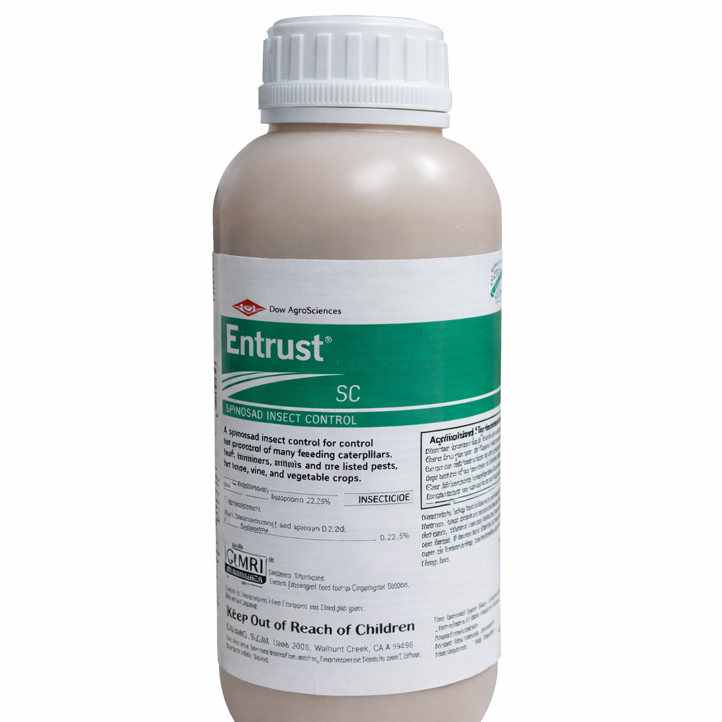 ChatGPT Image Dec 29, 2025, 05_41_25 PM.png