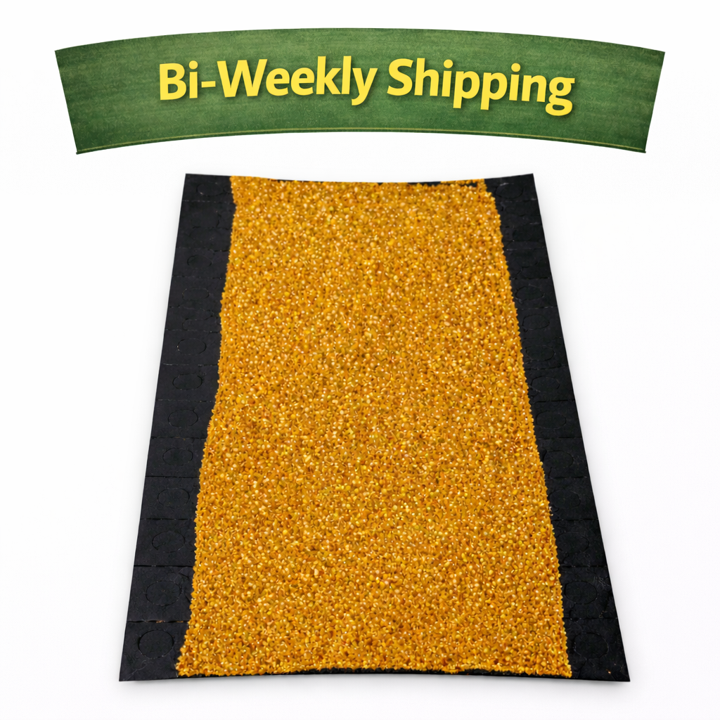 Lacewing Card Bi-Weekly.png