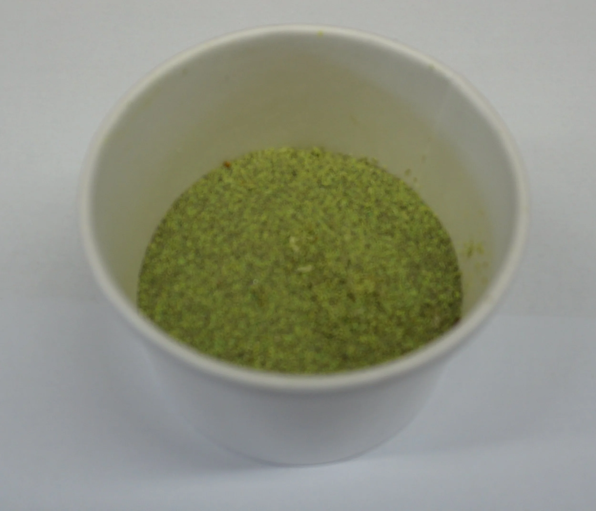 Bulk Lacewing Eggs in a Cup