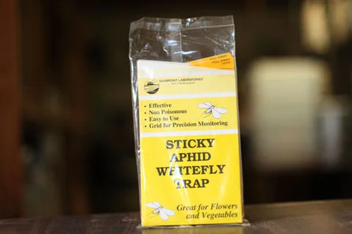 eq_sticky_card_yellow.jpg