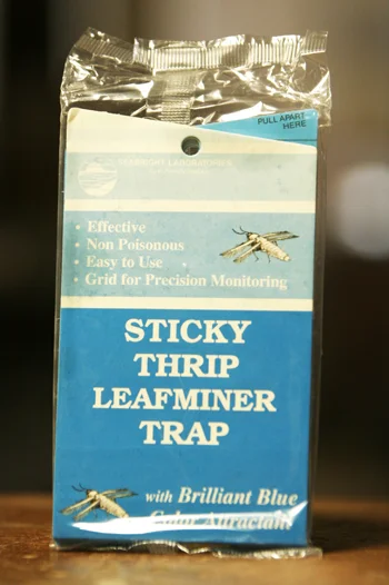 Blue Sticky Card