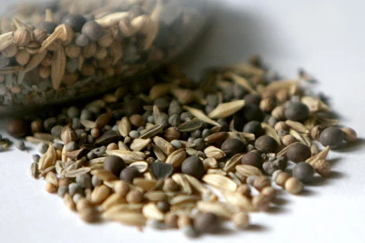 Beneficial Blend - Seed Mix 