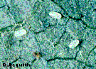 image004.gif