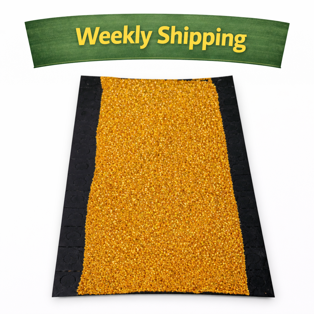 Lacewing Card Weekly.png