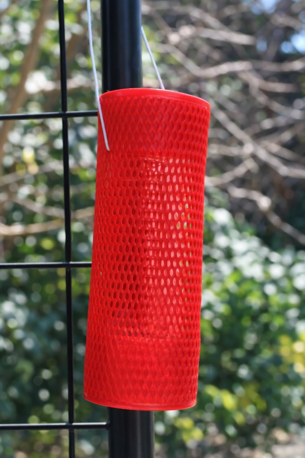 ChatGPT Image Dec 26, 2025, 01_53_47 PM.png