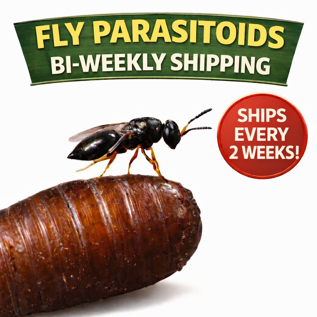 Bi-weekly Shipping.png