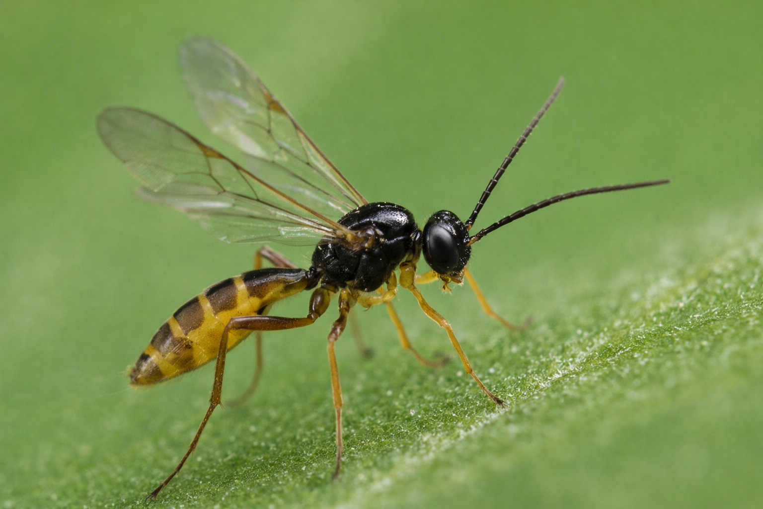 ChatGPT Image Dec 26, 2025, 09_22_39 PM.png