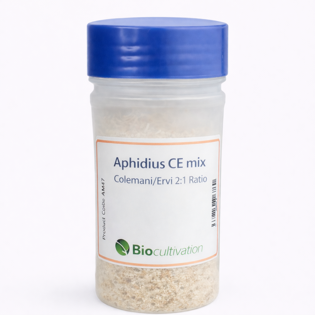 Aphidius CE mix ColemaniErvi.png