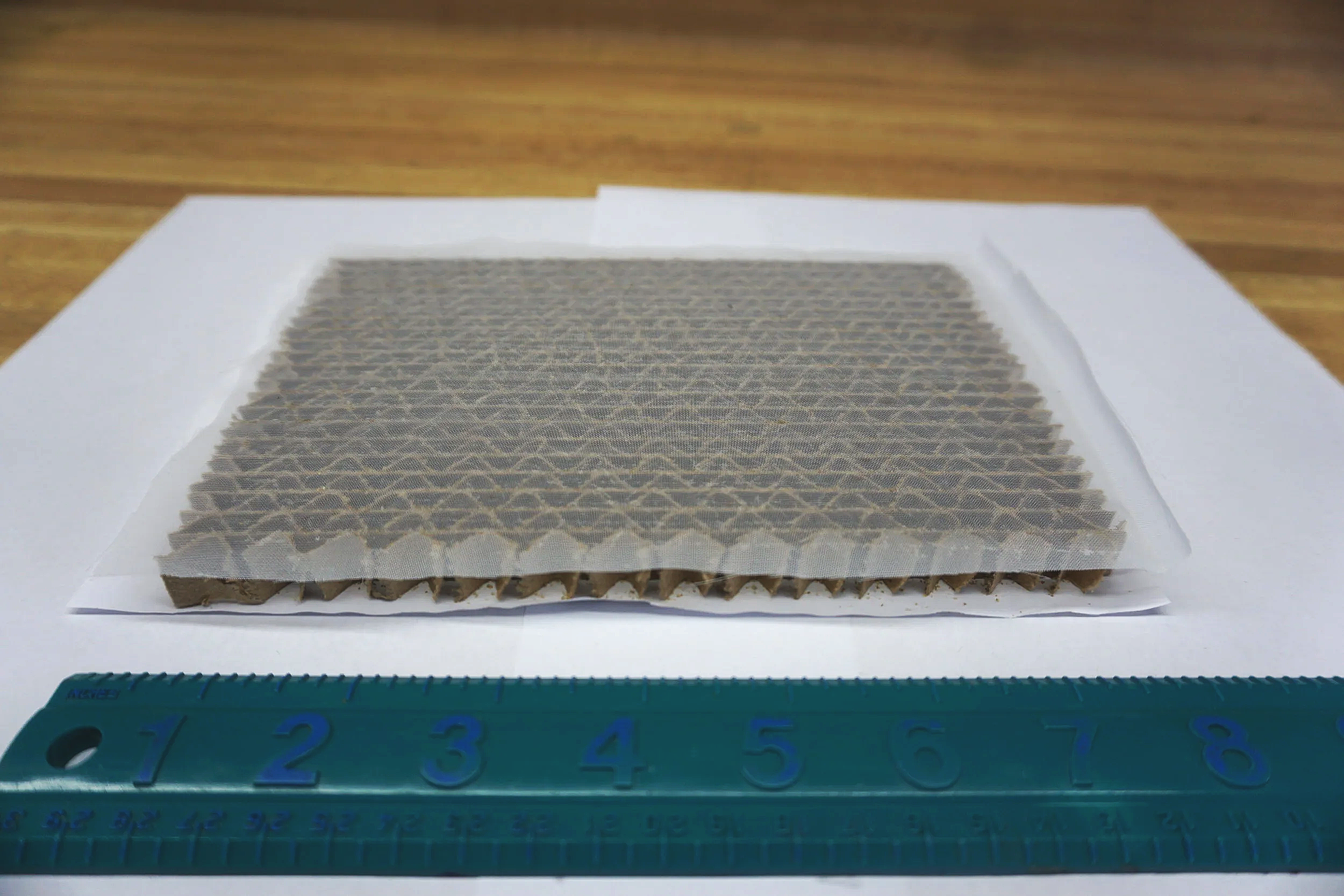 DSC05980.png (Copy) (Copy)