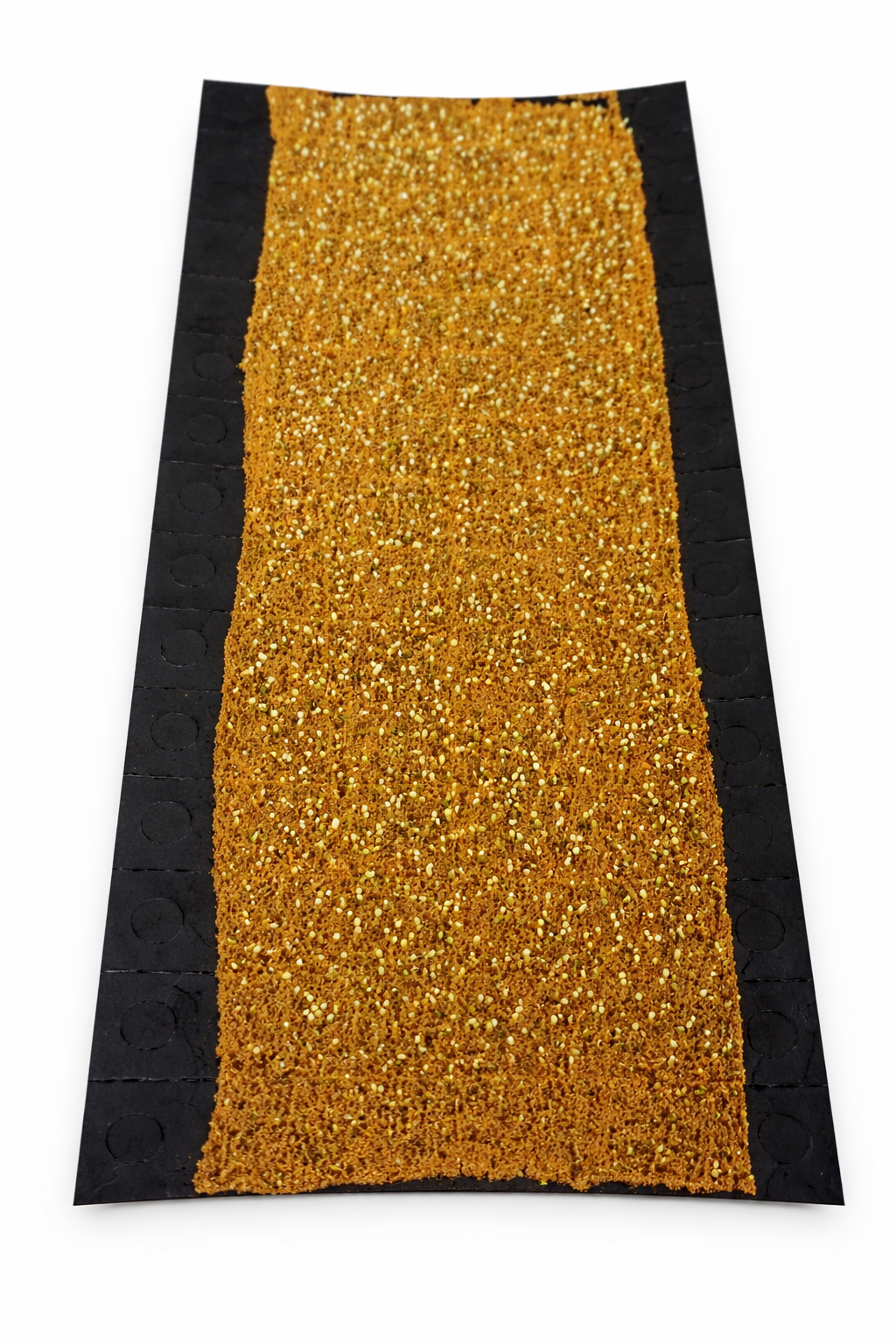 Lacewing Eggs on Cards