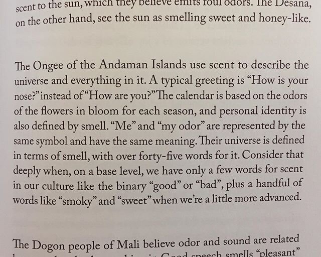 Inspired by this passage (from NOSE DIVE by @mindmarrow) to move to the Andaman Islands immediately. Imagine a culture in which, instead of asking about people&rsquo;s weekends, it is custom to ask about scents they&rsquo;ve encountered recently? A p