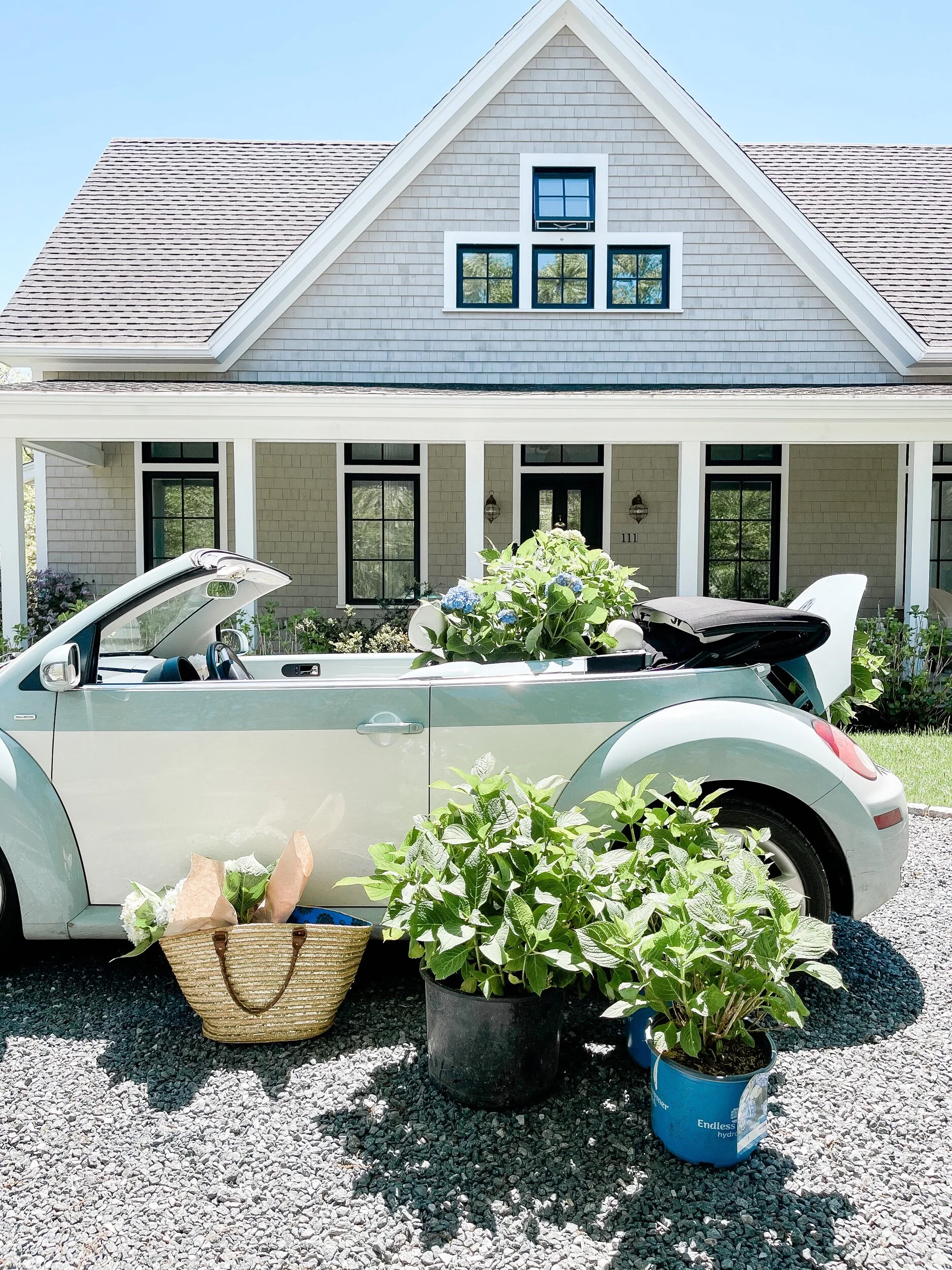 Gimme more hydrangeas