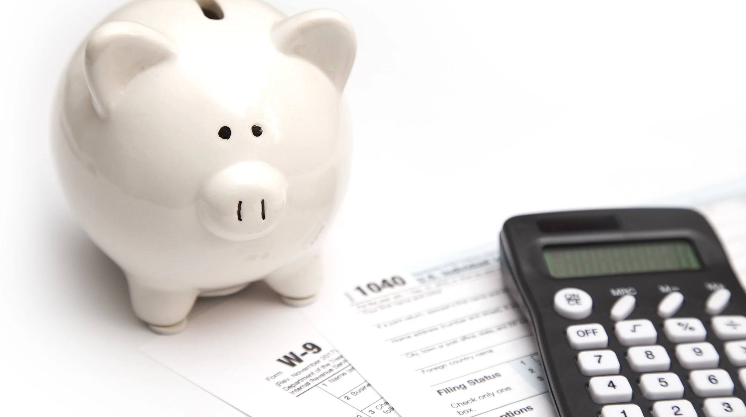 pig with tax forms.jpg