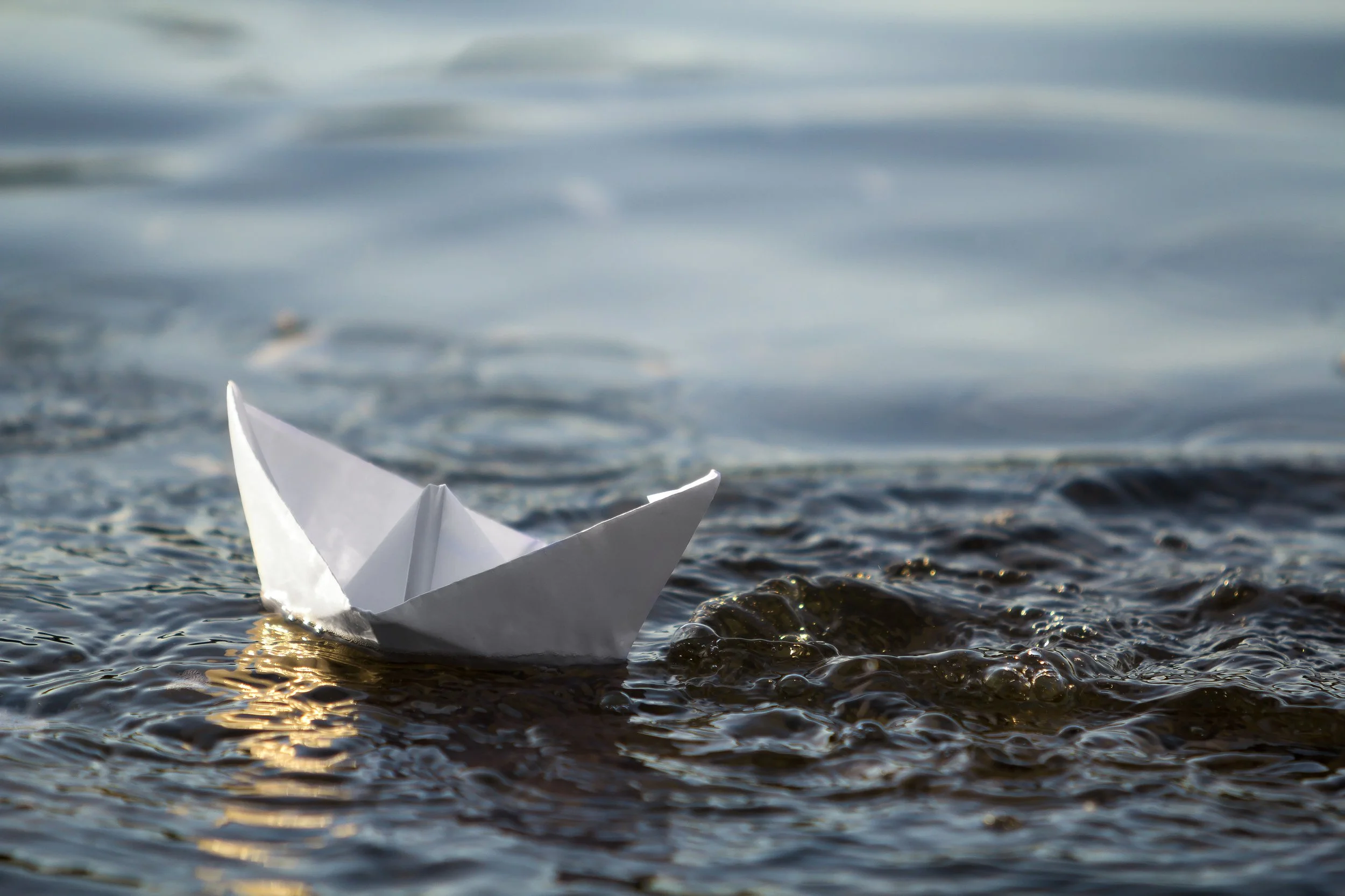 A Steady Anchor in Times of Market Volatility