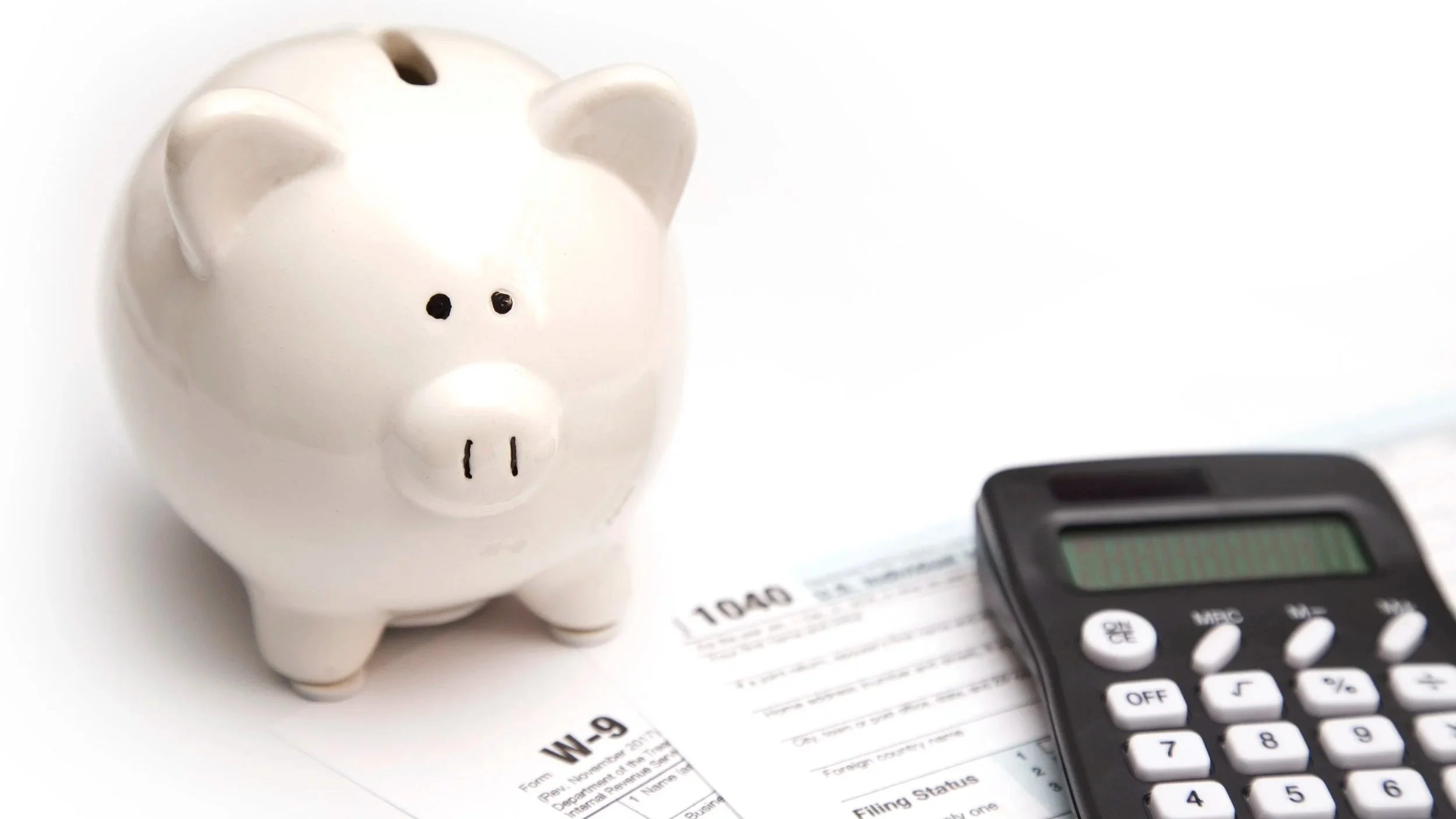 pig with tax forms.jpg