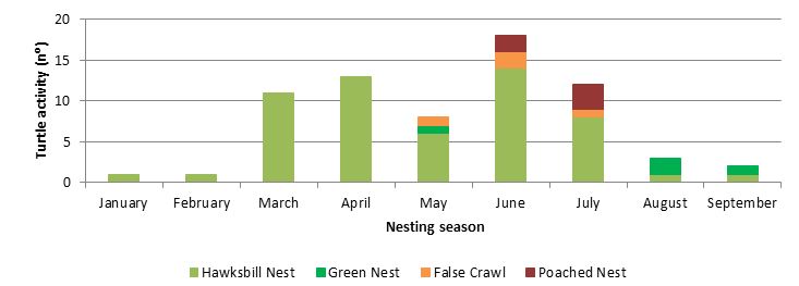 Figure SEQ Figure \* ARABIC 1 . Temporal distribution of Hawksbill turtle and Green turtle 2017 nesting season.