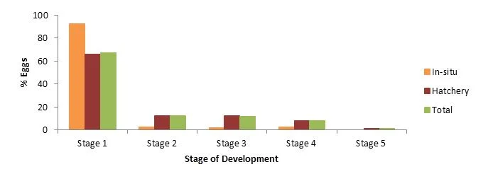 Figure SEQ Figure \* ARABIC 4 . Stage of development of the unhatched eggs from the hatchery and in-situ nests.