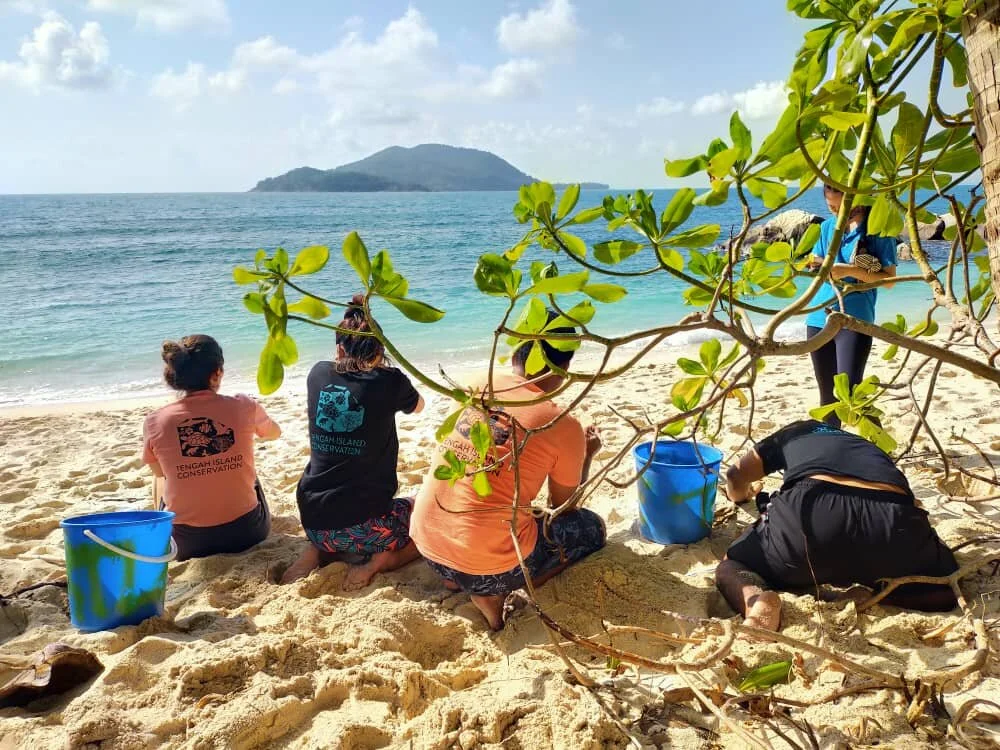 WhatsApp Image 2021-05-17 at 16.06.06 (1).jpeg