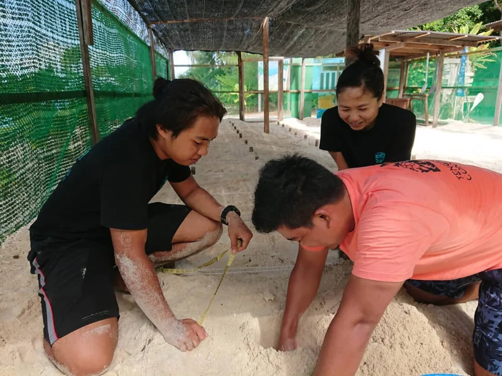 WhatsApp Image 2021-05-17 at 16.06.06.jpeg