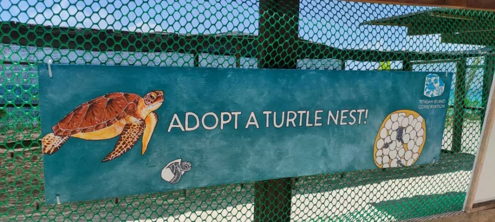 WhatsApp Image 2021-05-17 at 16.06.07.jpeg