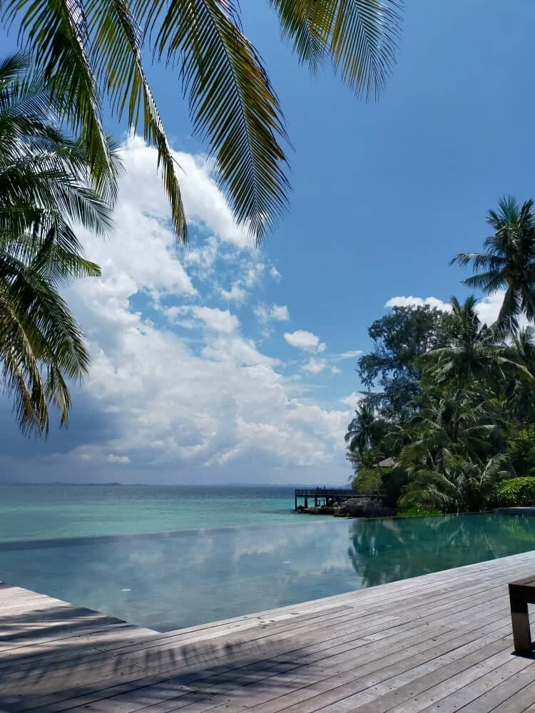 Batu Batu Updates: Summer 2021