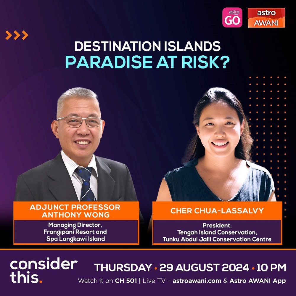 WhatsApp Image 2024-08-29 at 18.38.54.jpeg