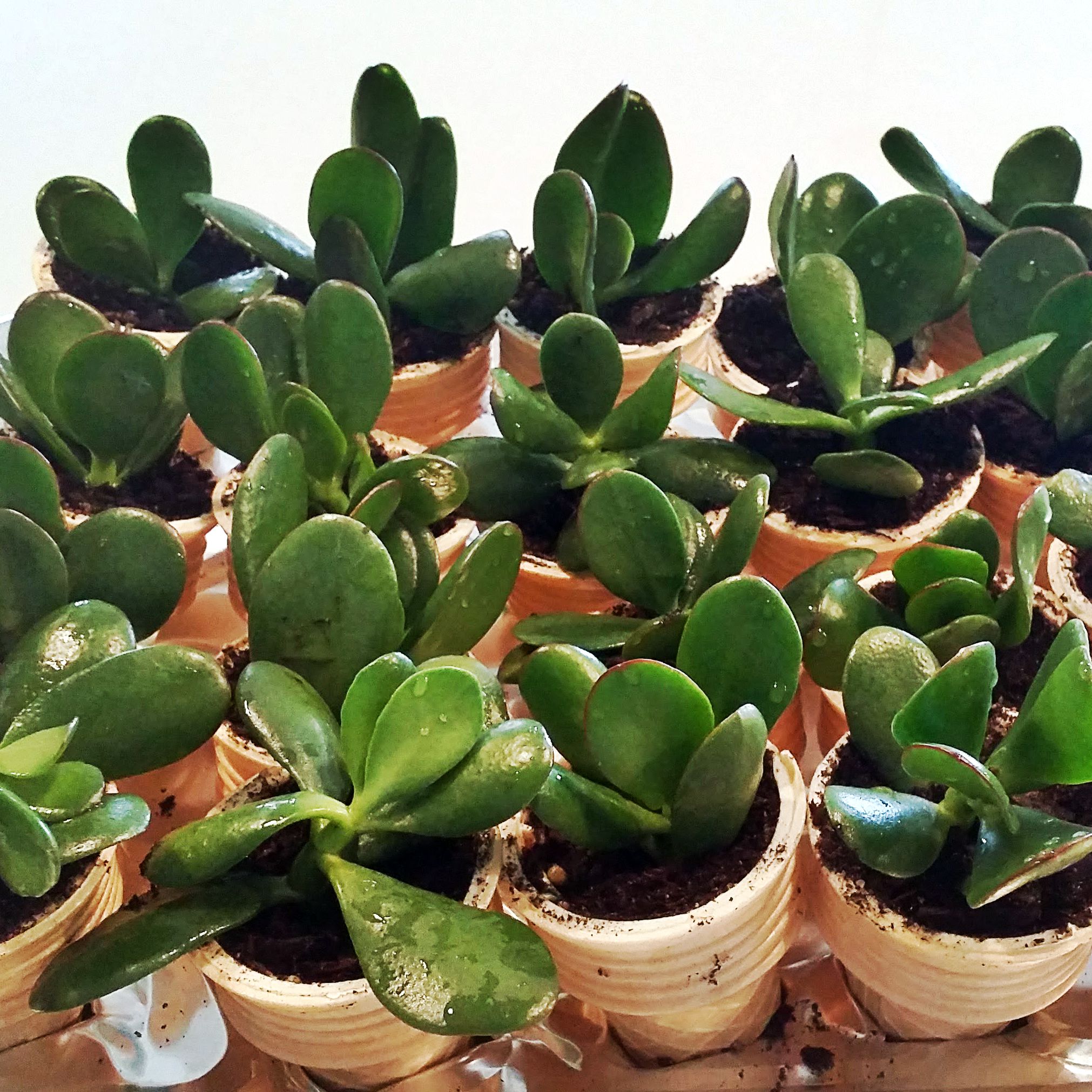 20151018_091903.jpg