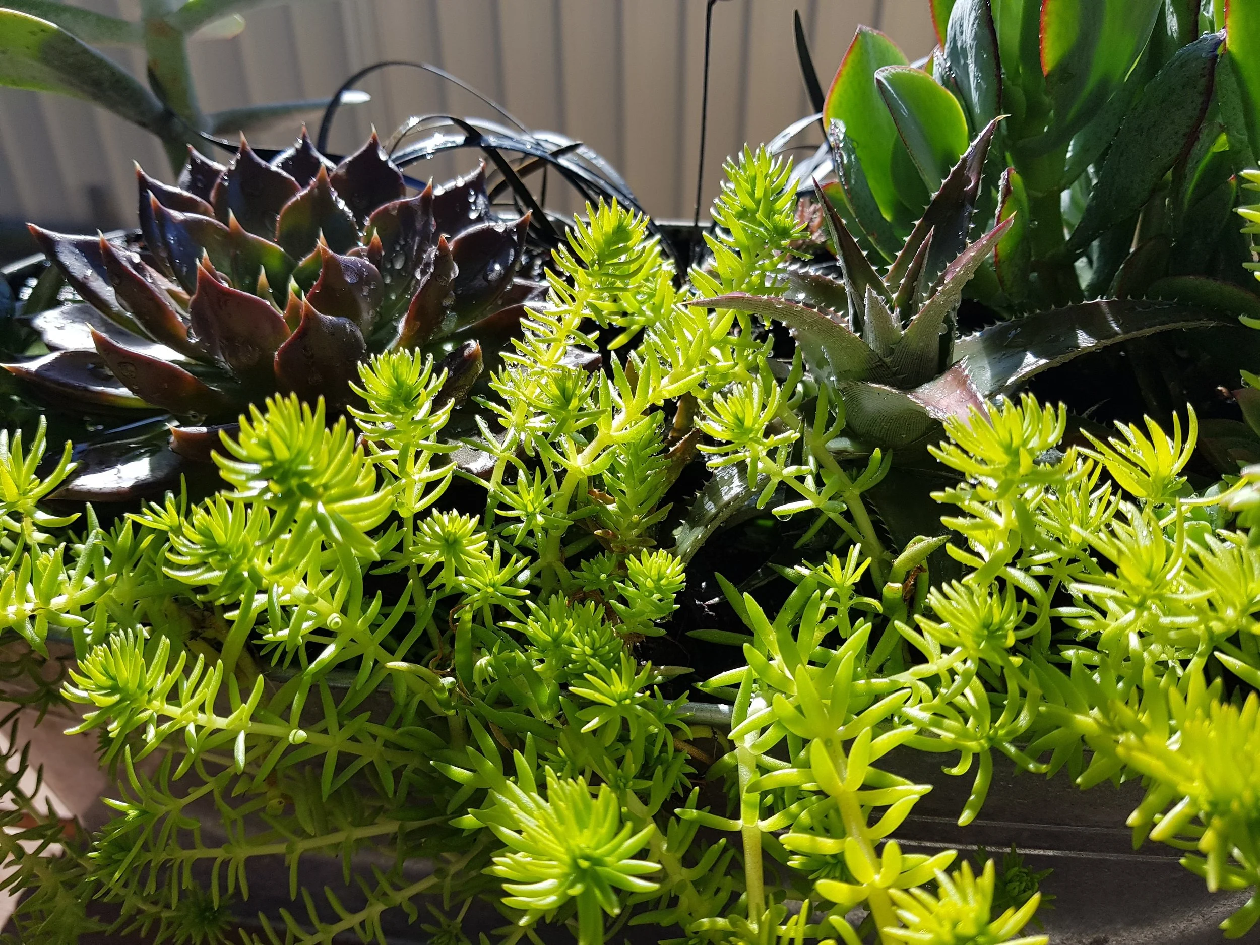 20170721_105007.jpg