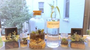 20180129_062020.jpg