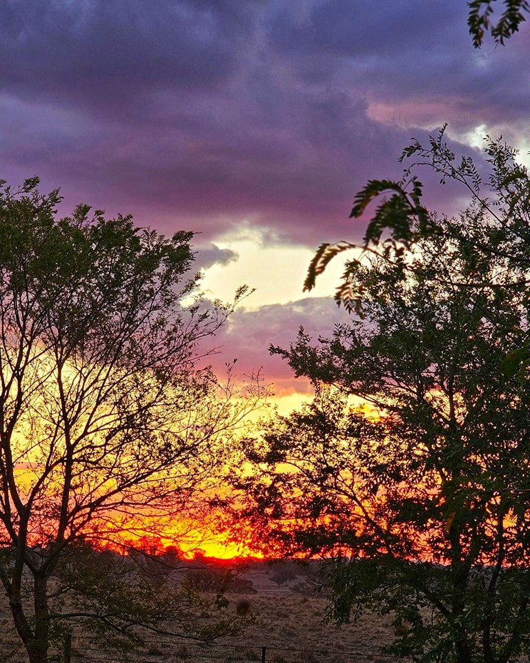 Can you even with these colours?!?!?

#TheHylandHills
#MurrumbatemanSunsets