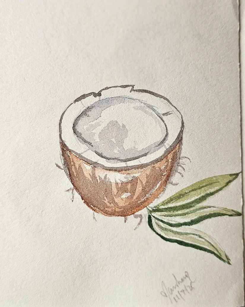 Coconuts. Solver of all problems (unless you're allergic 😬).

#watercolourfruit
#paintingfruit