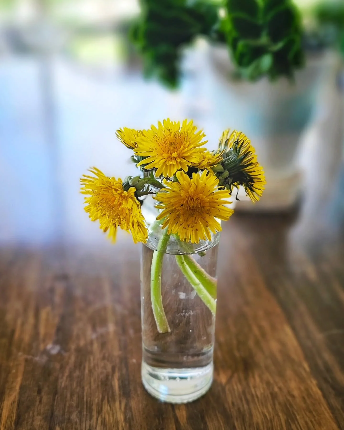 The other day my little one came in from the garden clutching a fistful of dandelions, eyes shining like they’d found treasure. And in that moment, I realised — this is the picture I painted in my heart of what being a mum would be. Simpl