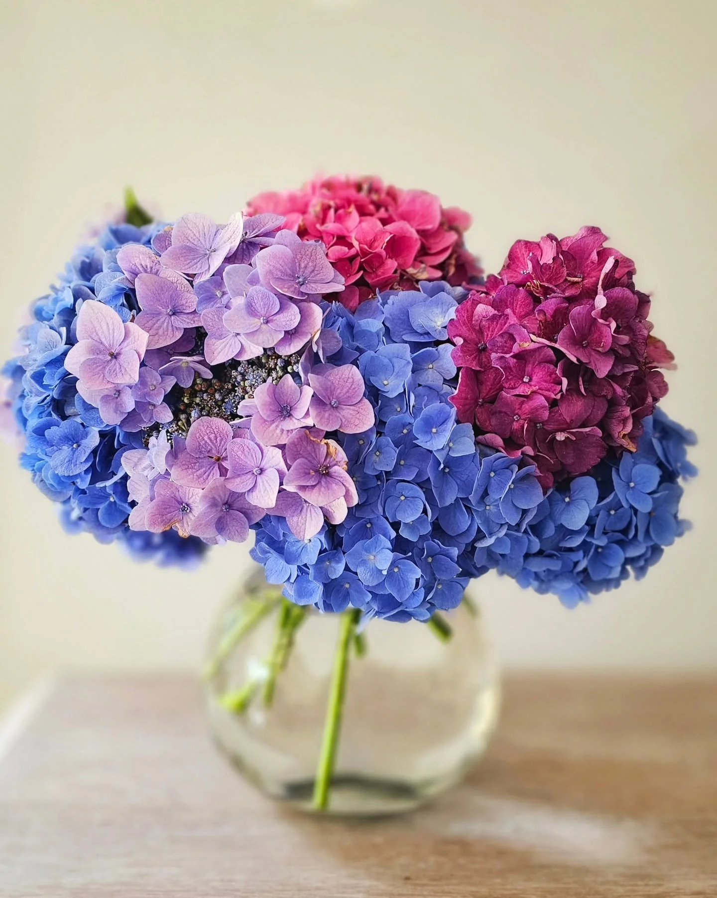 Yes, the hydrangeas are pretty. But that&rsquo;s not what I see.

What I see is an early morning in the garden with my Hot Ball of Sun ☀️ (occasionally also known as Planet Neptune, depending on his mood and/or gravitational pull).

Tiny boots in the