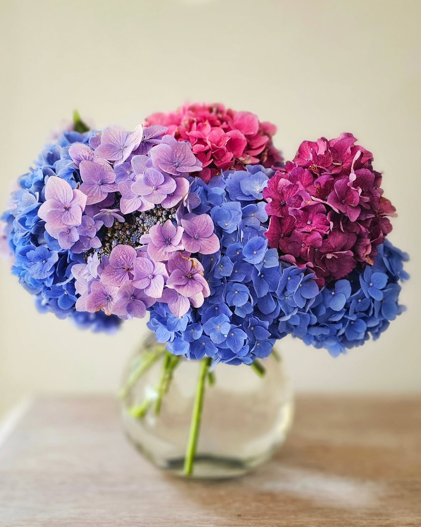 Yes, the hydrangeas are pretty. But that&rsquo;s not what I see.

What I see is an early morning in the garden with my Hot Ball of Sun ☀️ (occasionally also known as Planet Neptune, depending on his mood and/or gravitational pull).

Tiny boots in the