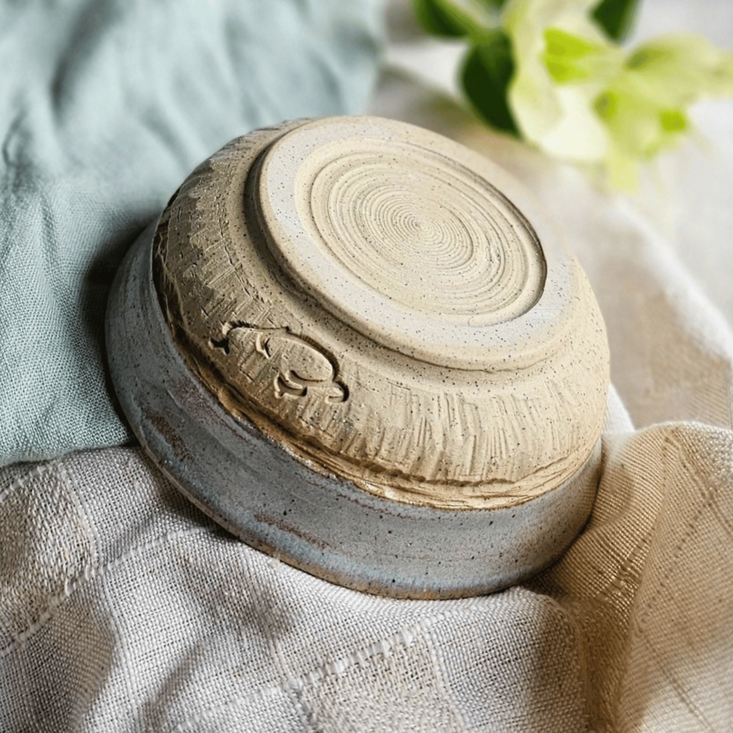 Snow White Bowl_Small_Chattering_Base.png
