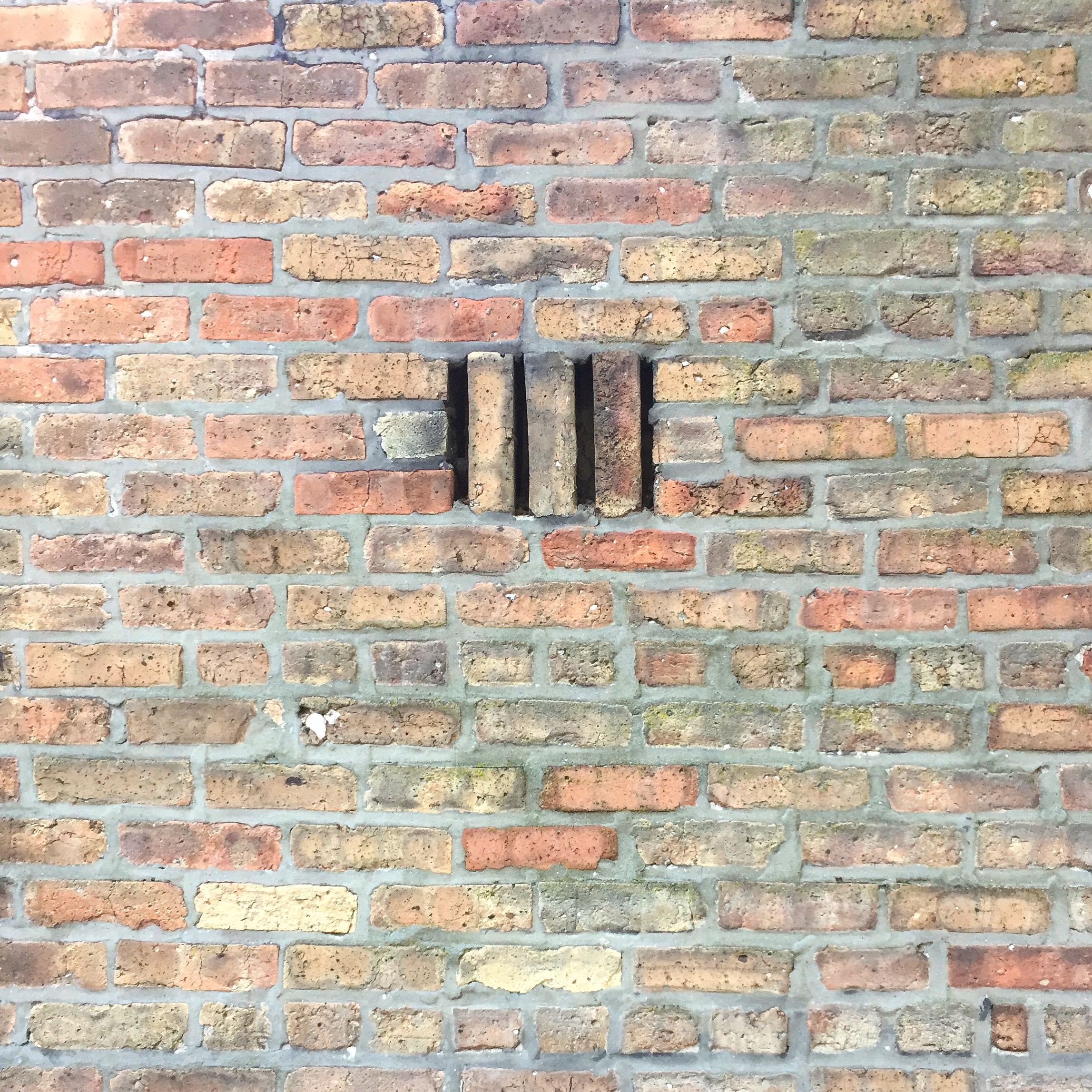 Brick of Chicago — Chicago Common Brick
