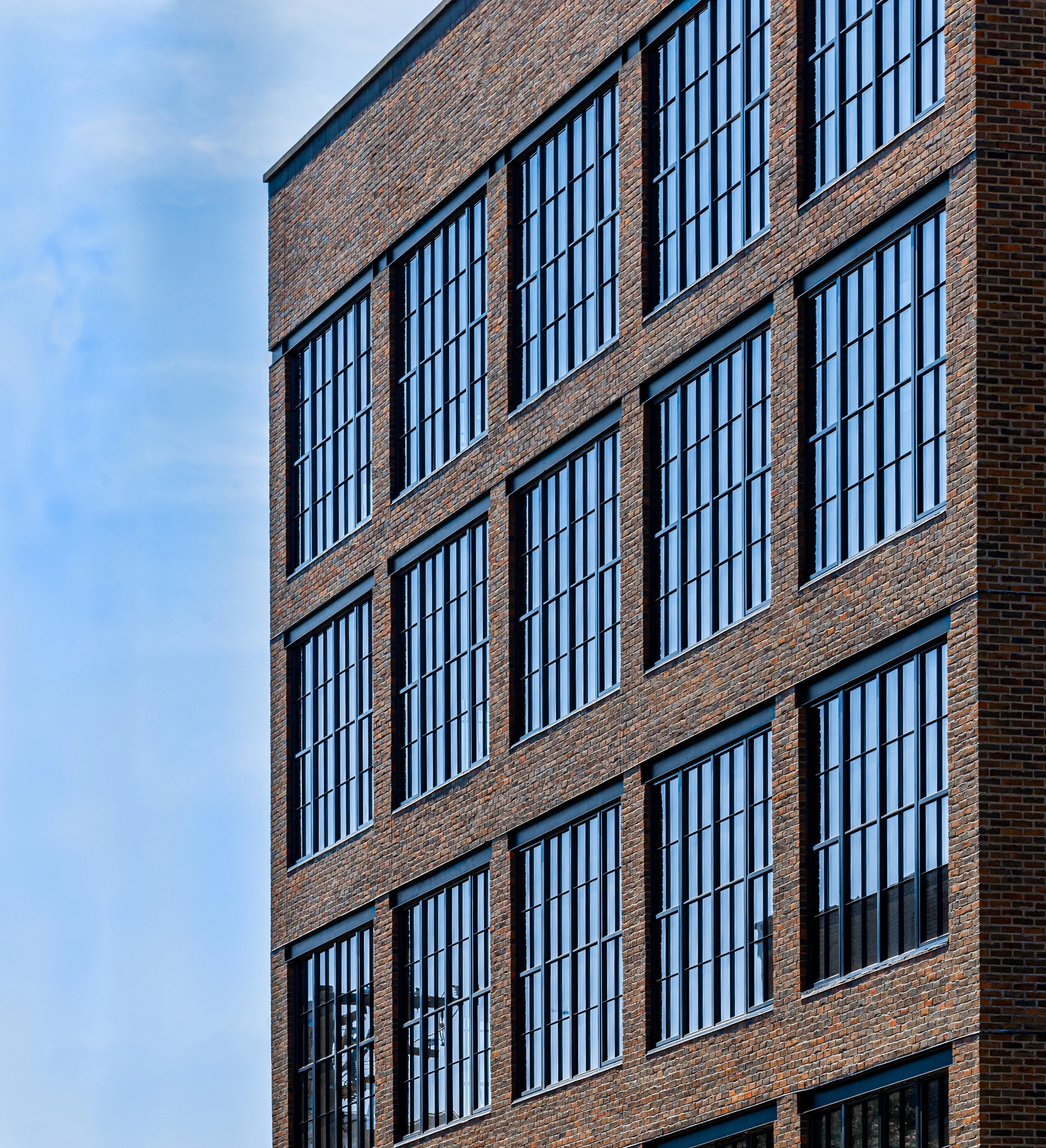 1001 Windows.jpg