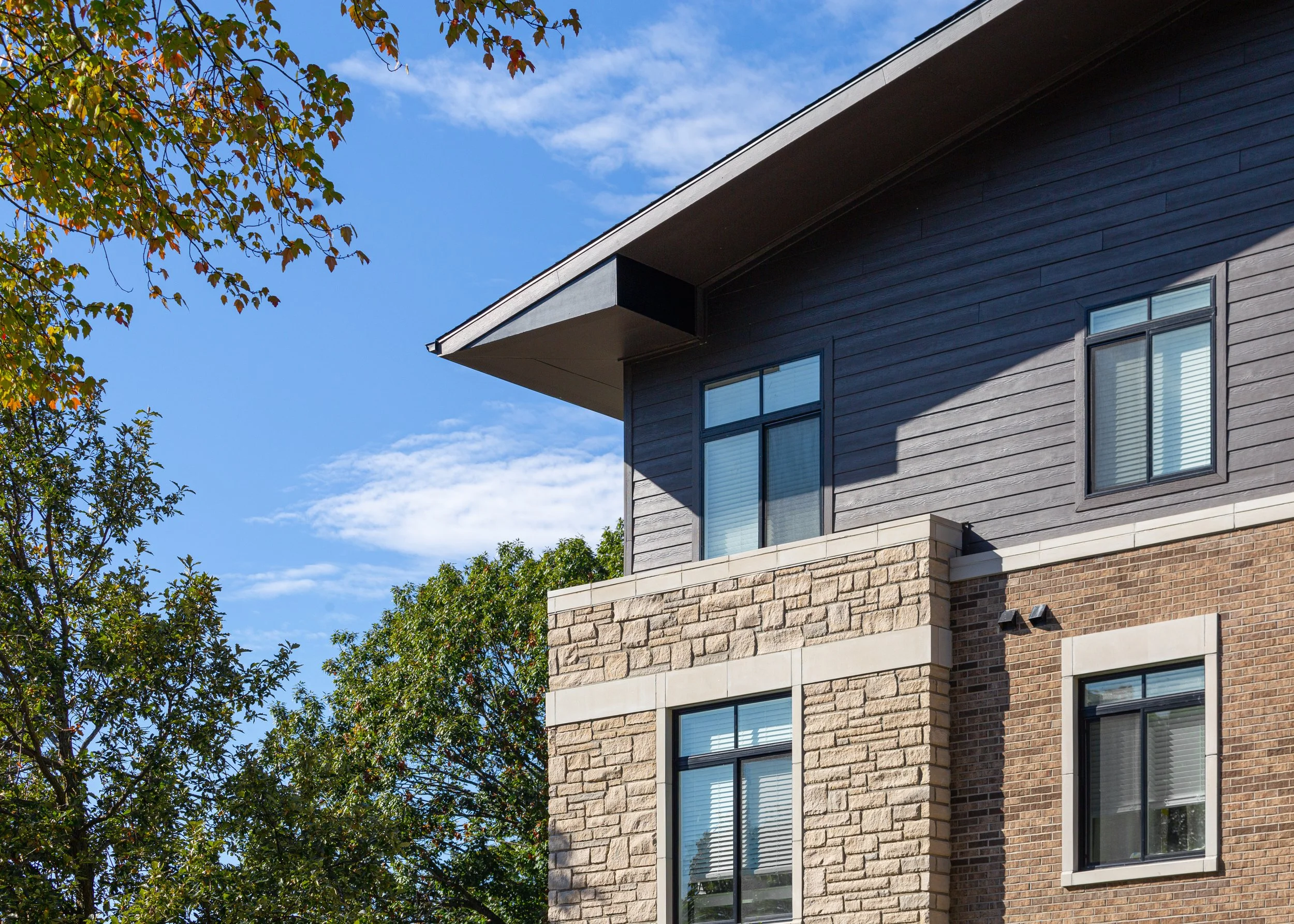 Eaves and windows.jpg