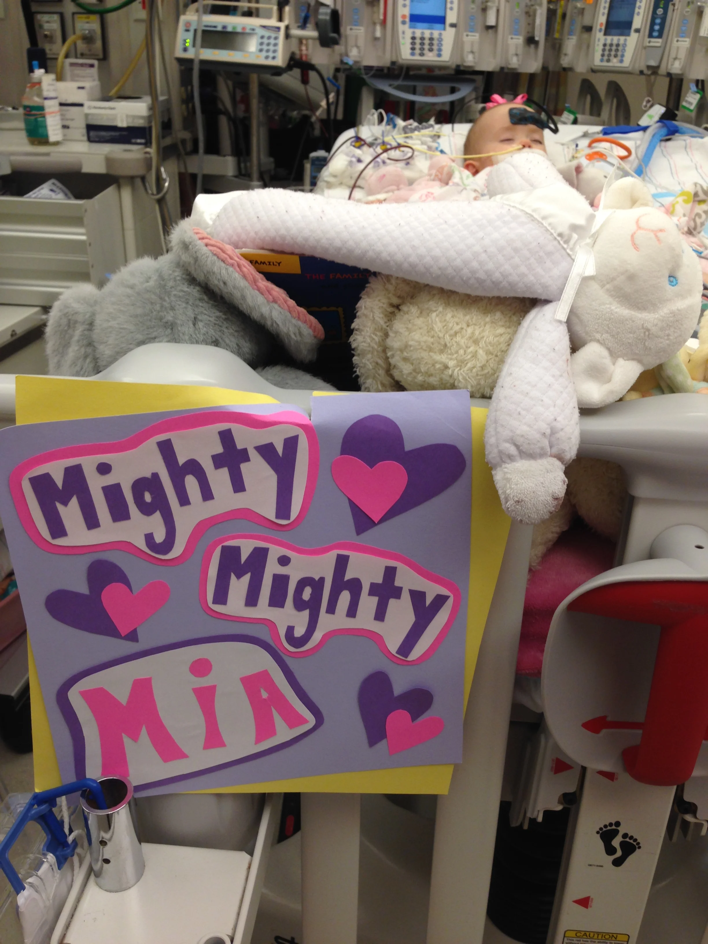 Rising from the Rubble