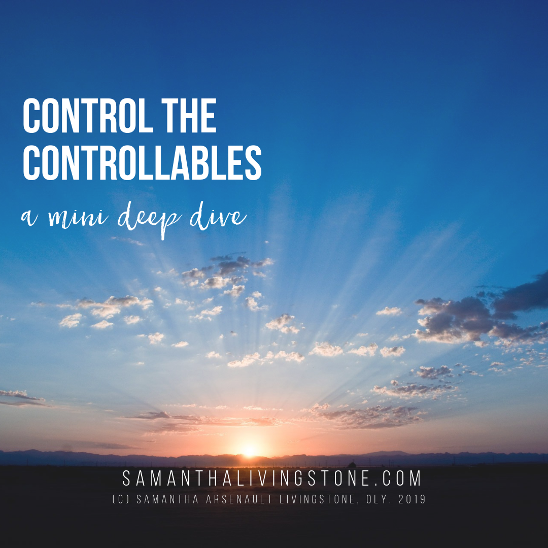 Control Controllables Gift — Samantha Livingstone