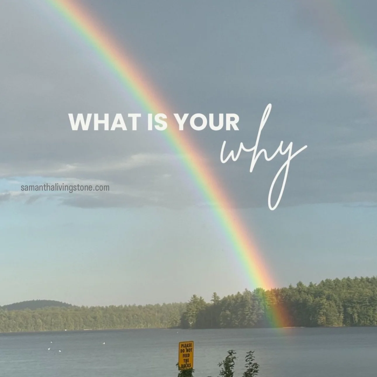 I don&rsquo;t remember the details of what I was going through at the time I snapped this picture, but I do remember the vibrant colors pulling me out of my head and into the present with such wonder + awe. ⁠
⁠
It felt like a sign. To pause and be he