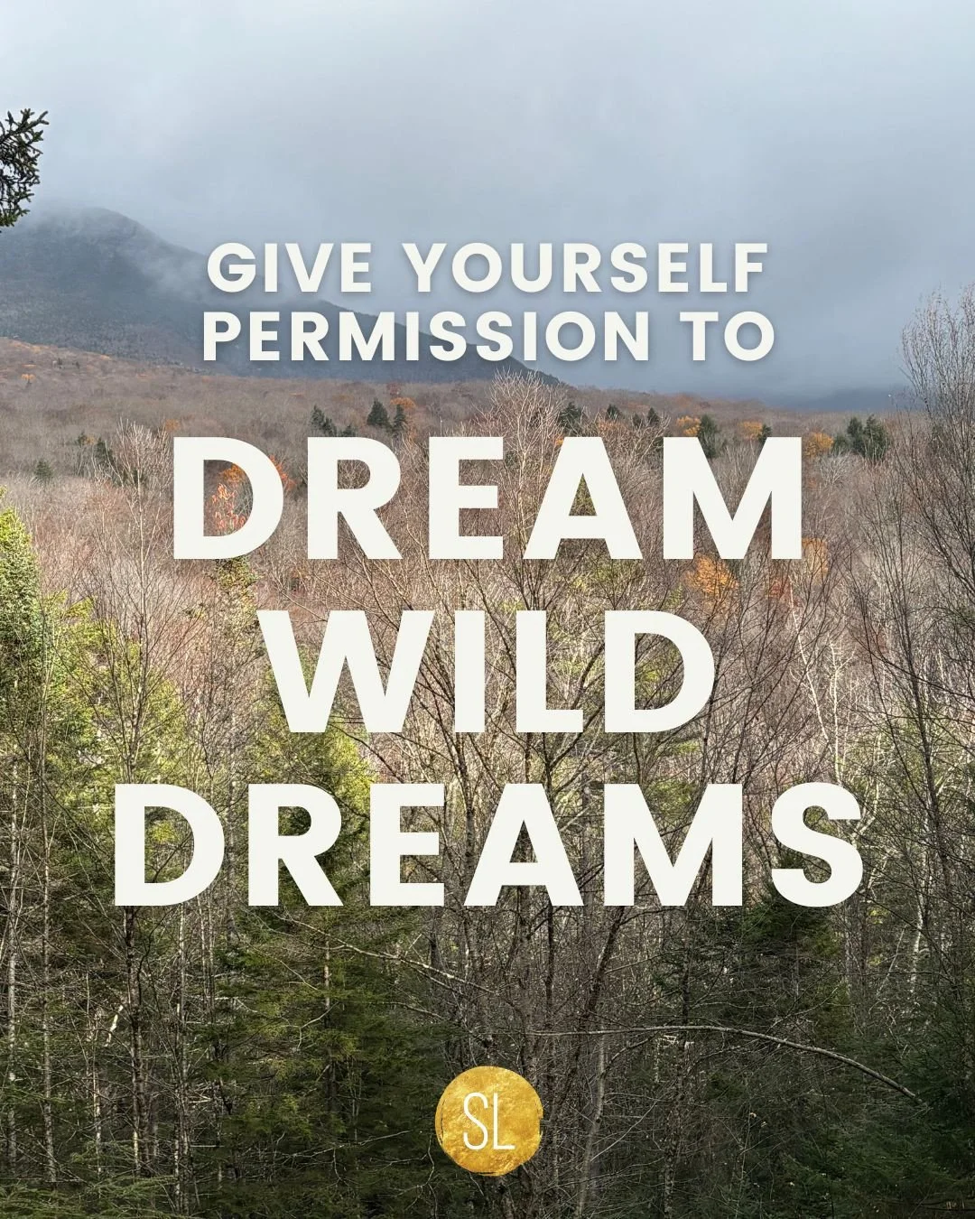 What are your wildest dreams?⁠
⁠
If you let go of needing to know all the HOWs, what stirs inside you?⁠
⁠
What are you being pulled toward? What lights you up?⁠
⁠
It takes courage to name our dreams&mdash;and go for them without any guaranteed outcom