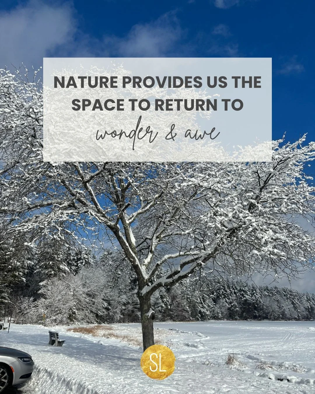 Gentle invitation to put down the device, step outside and breathe in outdoor air. To allow our gaze to soften and see the world with wonder + awe. ⁠
⁠
I&rsquo;ve learned that for me, time in nature is medicine. ⁠
⁠
⁠
⁠
#nature #mentalperformancecoac