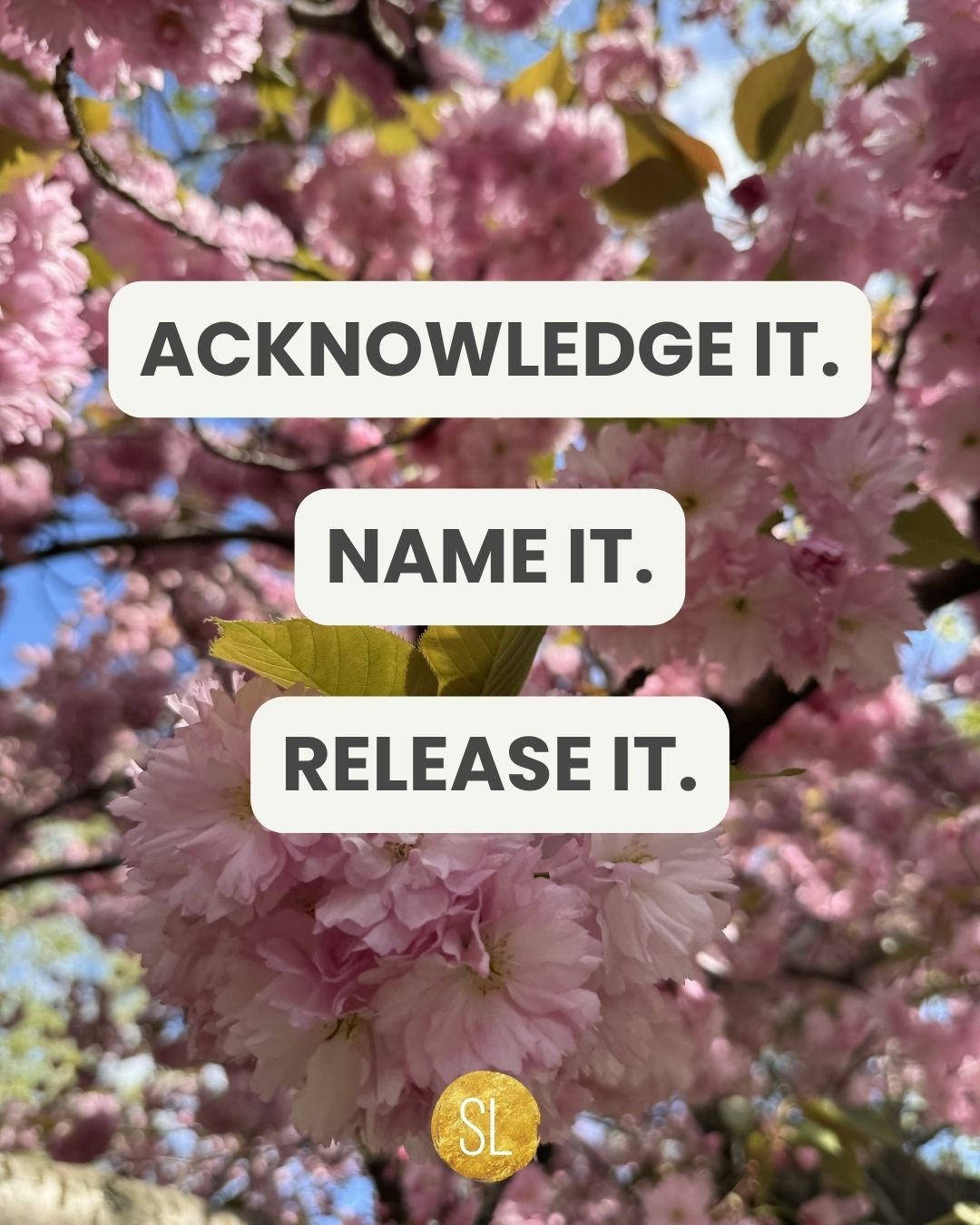 Name it to tame it.⁠
⁠
The first step for me was noticing when an emotion had hijacked my behavior.⁠
⁠
Then, naming what was happening.⁠
⁠
The hardest part was pausing long enough to turn toward the sensations in my body without getting caught in my 