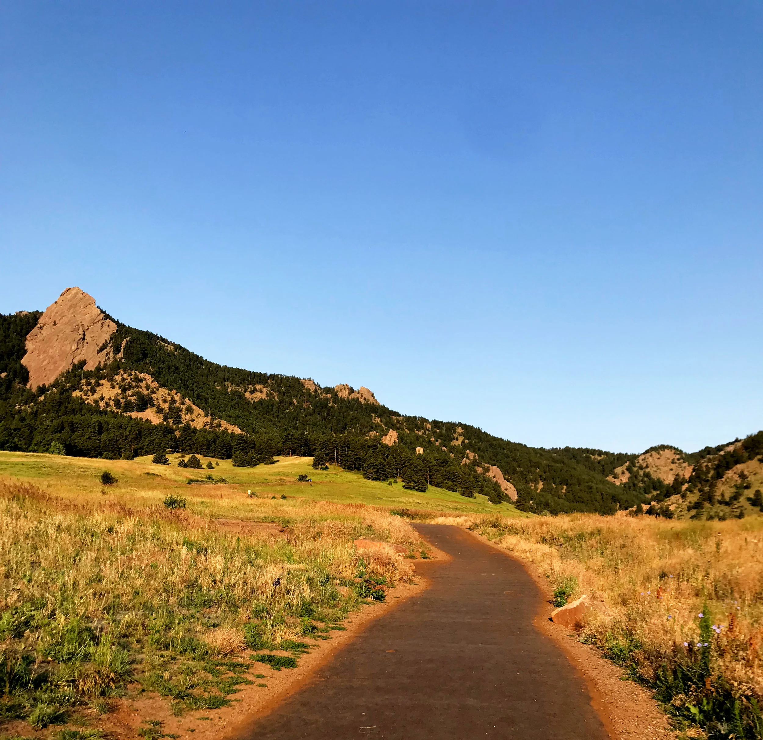 morning light in Chautauqua